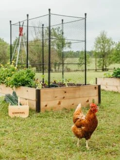 Tall Chicken Wire Critter Fence With Gate -Green Works Shop 8611020 316 tif