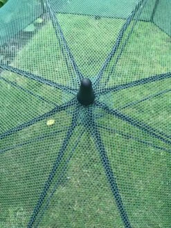 GardenSkill Pop N Crop Plant Umbrella 16 GardenSkill Pop N Crop Plant Umbrella -Green Works Shop 8611105 07V tif