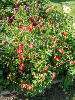 Parasol Plant Supports, Set Of 3 -Green Works Shop 8611129 050 tif