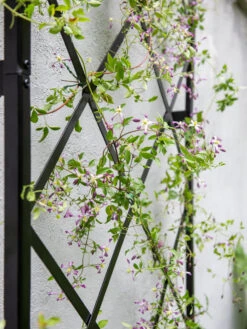 Lattice Gable Wall Trellis 8 Lattice Gable Wall Trellis -Green Works Shop 8611130 011