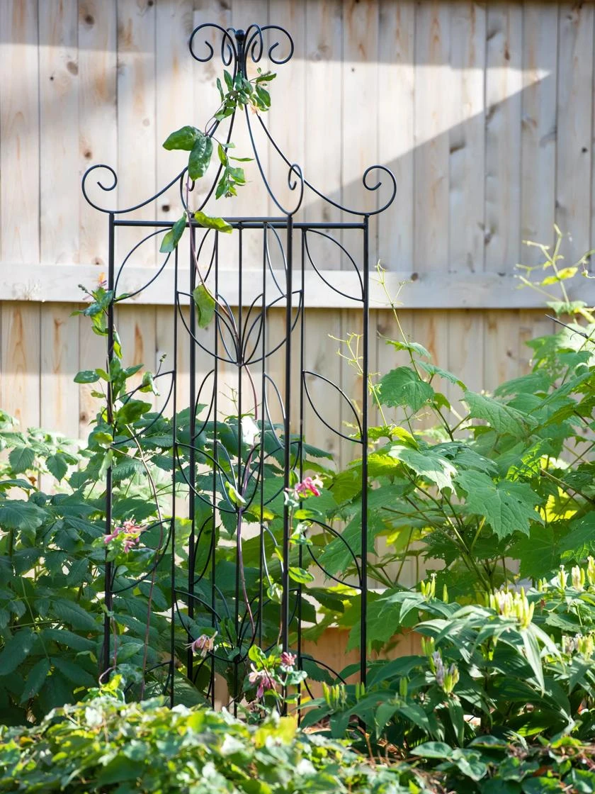 Green Works Shop -Green Works Shop 8611658 035 tif