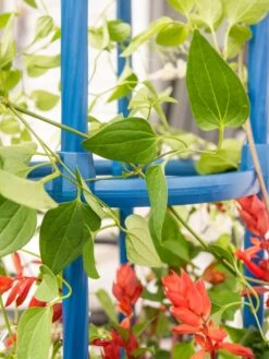 Fleur De Lis Obelisk, 67" -Green Works Shop 8611663 0607 tif