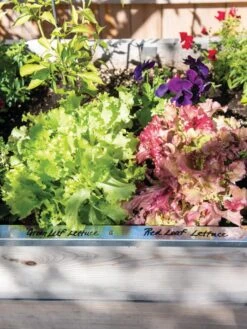 Re-Markable Raised Bed Trim -Green Works Shop 8611758 306 tif