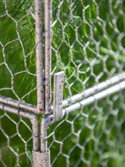 Chicken Wire Crop Coop Extension -Green Works Shop 8611940 232 tif