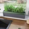 Provence Self-Watering Herb Planter -Green Works Shop 8611965 01V tif