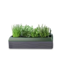 Provence Self-Watering Herb Planter -Green Works Shop 8611965 03V tif