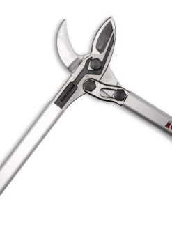 Castellari Long-Handled Anvil Lopper -Green Works Shop 8611970 007 tif