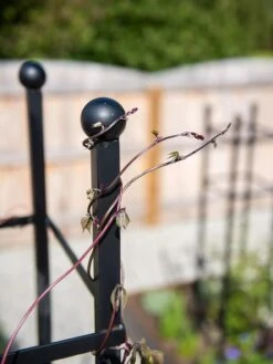 Essex Square Obelisk -Green Works Shop 8611984 278 tif