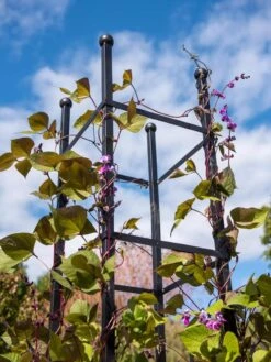 Essex Square Obelisk -Green Works Shop 8611984 354 tif