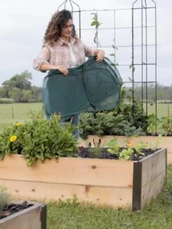 Insect And Pest Net Row Protector 12 Insect And Pest Net Row Protector -Green Works Shop 8611985 8389 tif