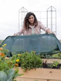 Insect And Pest Net Row Protector 13 Insect And Pest Net Row Protector -Green Works Shop 8611985 8390 tif