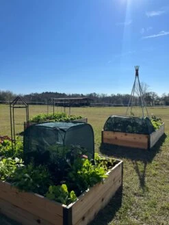 Pest Control Pop-Ups -Green Works Shop 8611989 05 tif