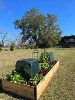 Pest Control Pop-Ups -Green Works Shop 8611989 08 tif