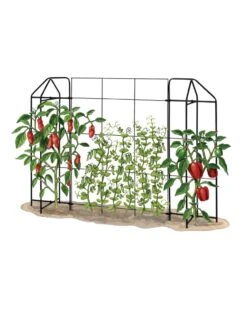 Zenith Trellis -Green Works Shop 8612035 art tif