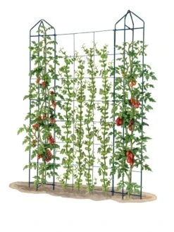 Zenith Trellis -Green Works Shop 8612036 art tif