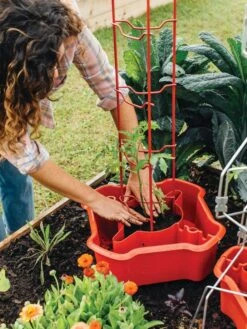 Deluxe Tomato Halos, Set Of 2 -Green Works Shop 8612045 135 tif