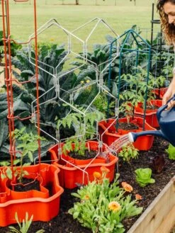 Green Works Shop -Green Works Shop 8612045 161 tif