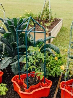 Deluxe Tomato Halos, Set Of 2 -Green Works Shop 8612045 221 tif