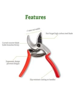 Castellari Mini Anvil Pruner -Green Works Shop 8612199 5