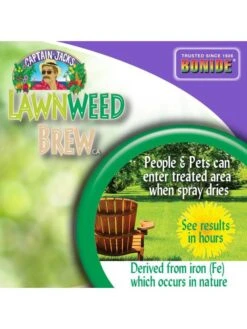 Captain Jack's™ Deadweed Brew Ready To Use, 128oz. -Green Works Shop 8612432 07v