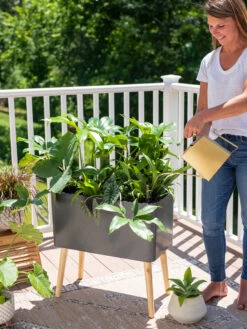 Ava Self-Watering Rectangular Planter 13 Ava Self-Watering Rectangular Planter -Green Works Shop 8612691 0011 1