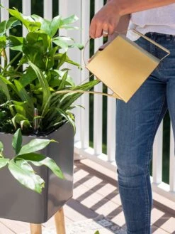 Precision Brass Watering Can -Green Works Shop 8612691 0011