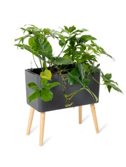 Ava Self-Watering Rectangular Planter 14 Ava Self-Watering Rectangular Planter -Green Works Shop 8612691 0013