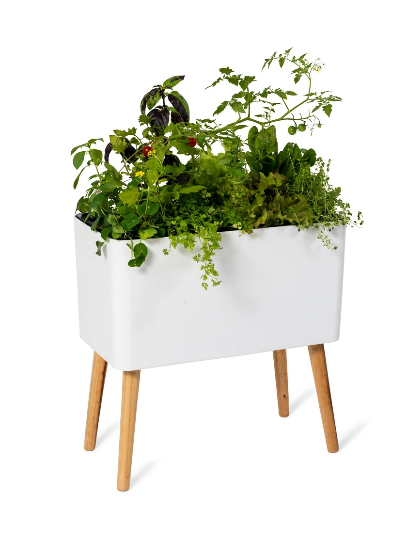 Ava Self-Watering Rectangular Planter 7 Ava Self-Watering Rectangular Planter - Image 5