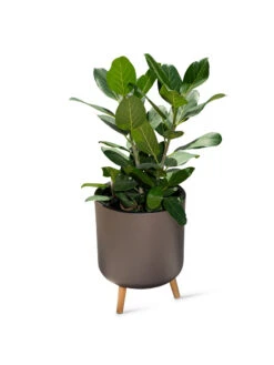 Ava Self-Watering Round Planter -Green Works Shop 8612692 0003