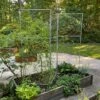 Chicken Wire Pea Trellis -Green Works Shop 8612718 7313 chicken wire pea trellis