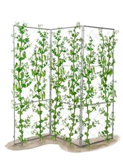 Chicken Wire Pea Trellis -Green Works Shop 8612718 peatrellis art chicken wire pea trellis