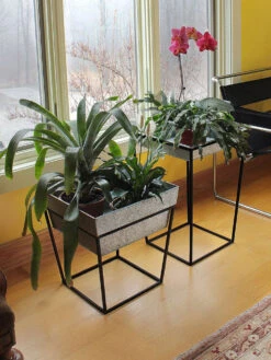 Achla Designs Arne Plant Stand -Green Works Shop 8612899 02v