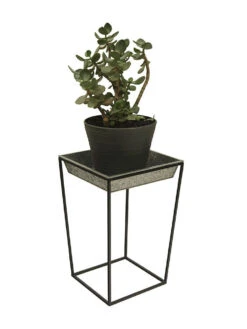 Achla Designs Arne Plant Stand -Green Works Shop 8612899 03v