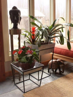 Achla Designs Arne Plant Stand -Green Works Shop 8612900 03v