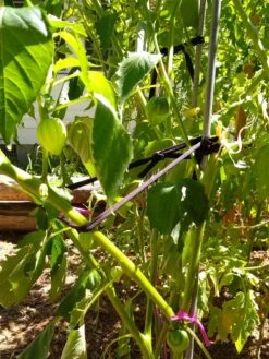 Farmyarn® Multipurpose Garden Tie, 2 Pack -Green Works Shop 8612948 02v