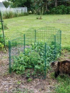 6 Panel Critter Fence With Gate 13 6 Panel Critter Fence With Gate -Green Works Shop 8612967 2570 tif