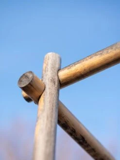 Bamboo Tomato Cages, Set Of 3 -Green Works Shop 8613143 0385