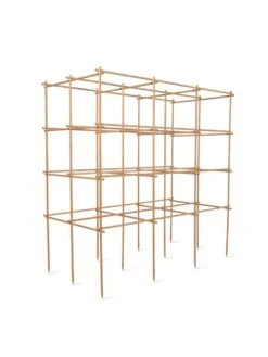 Tomato Six Pack Support -Green Works Shop 8613143 5402 6 pack tomato support