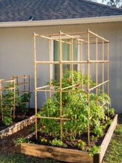 Green Works Shop -Green Works Shop 8613143 6970