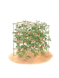 Tomato Six Pack Support -Green Works Shop 8613143 art flat