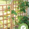 Bamboo Zig-Zag Trellis 24" X 36" 1 Bamboo Zig-Zag Trellis 24" X 36" -Green Works Shop 8613151 15