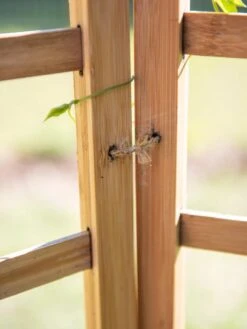 Bamboo Zig-Zag Trellis 24" X 36" -Green Works Shop 8613151 6483