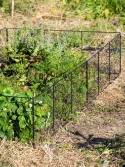 Chicken Wire Critter Fence, 16" High 20 Chicken Wire Critter Fence, 16" High -Green Works Shop 8613249 0336