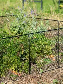 Chicken Wire Critter Fence, 16" High 16 Chicken Wire Critter Fence, 16" High -Green Works Shop 8613249 0352