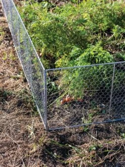 Chicken Wire Critter Fence, 16" High 17 Chicken Wire Critter Fence, 16" High -Green Works Shop 8613249 0358