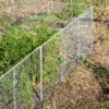 Chicken Wire Critter Fence, 16" High 1 Chicken Wire Critter Fence, 16" High -Green Works Shop 8613249 0368 chicken wire critter fence 16 inches high