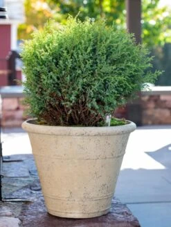 Self-Watering LavaStone® Anson Pot -Green Works Shop 8613255 0144