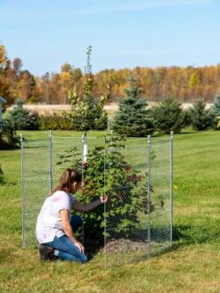 Tall Chicken Wire Critter Fence Extension Panel, Set Of 2 -Green Works Shop 8613260 0044 1