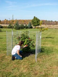 Tall Chicken Wire Critter Fence Extension Panel, Set Of 2 -Green Works Shop 8613260 0090