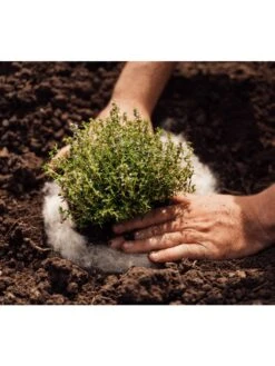 Hortiwool ®, 5 Pad Pack -Green Works Shop 8613263 06v